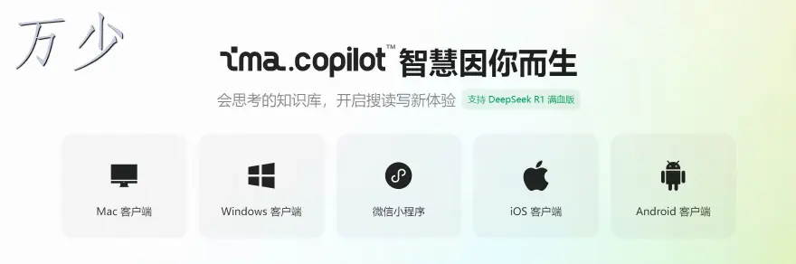 image-20250305105258530