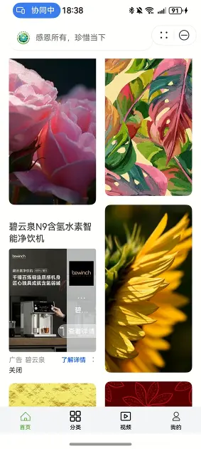 11-自然壁纸实战教程-接入鲸鸿动能广告-鸿蒙开发者社区